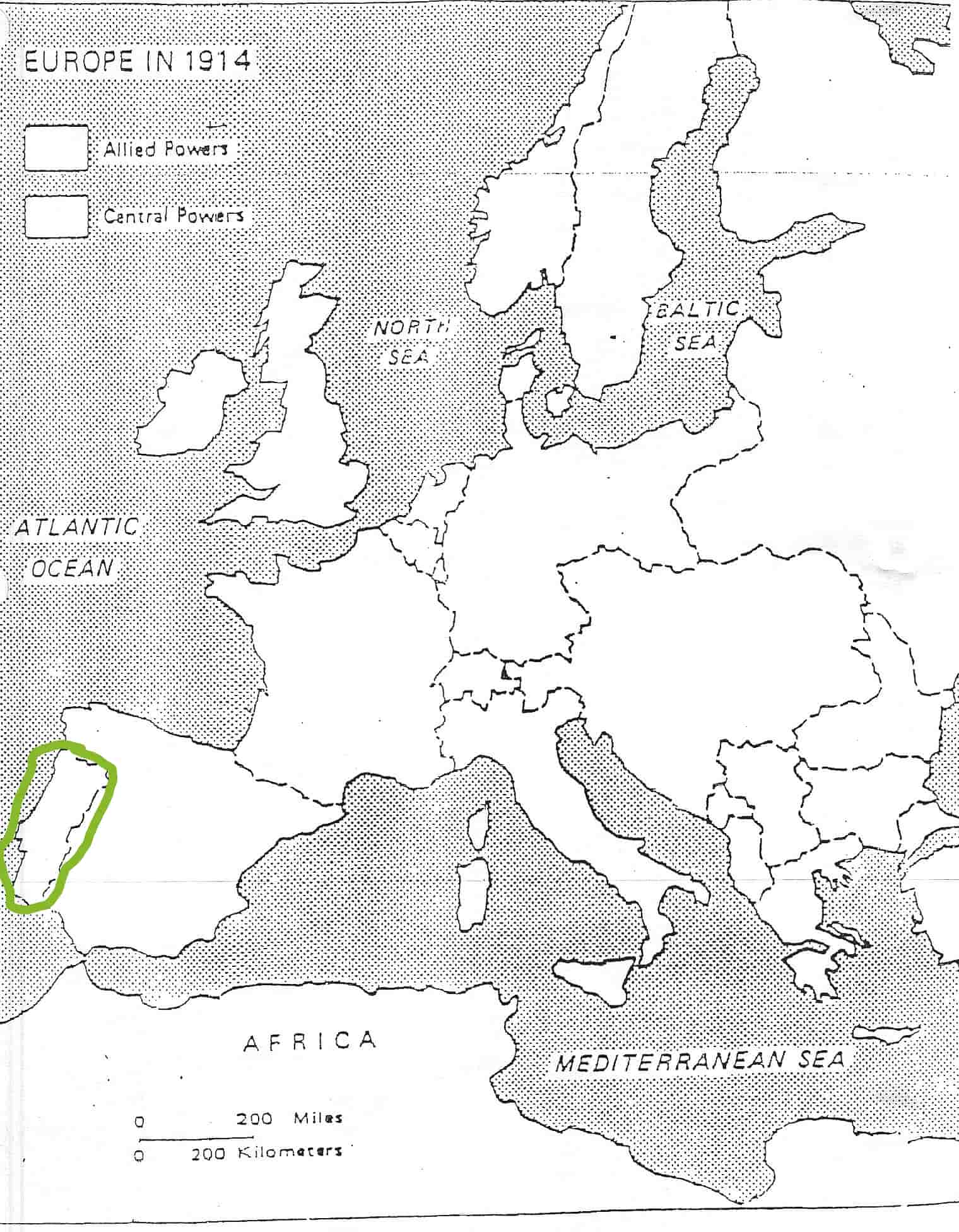 term image