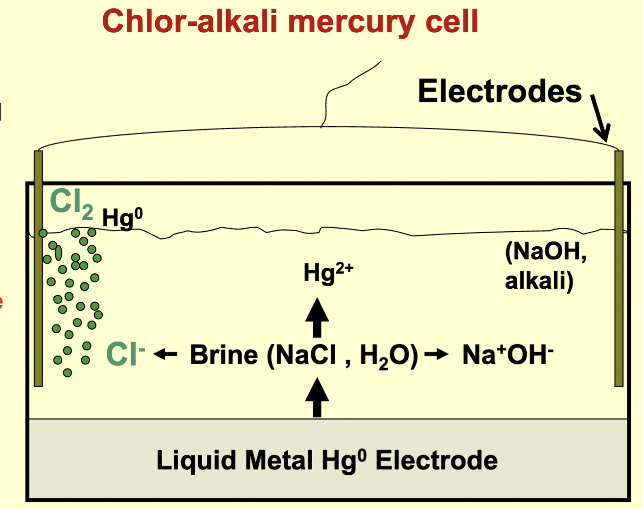 <ol><li><p>Electric current causes the evolution of chlorine gas used in bleaching and NaOH (alkali) used in pulping</p></li><li><p>Electric currents transfer elemental (Hgo) to the chlorine gas and Hg ions (Hg2+) dissolve in the brine —&gt; the Hgo and Hg2+ contaminate liquid and solid wastes and receiving environments</p></li><li><p>Hg methylation by sediment microbes causes food web contamination</p></li></ol>