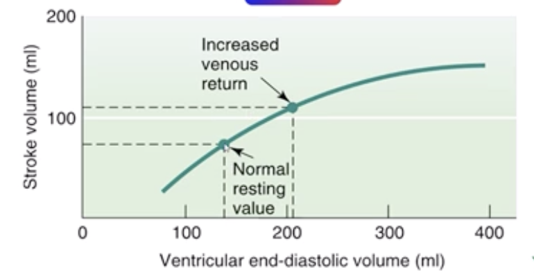 <ul><li><p>Venous return</p><ul><li><p>volume of blood, from the system, back to the heart</p><p></p></li></ul></li></ul><p></p>