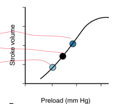 <p>draw the corresponding graph</p>