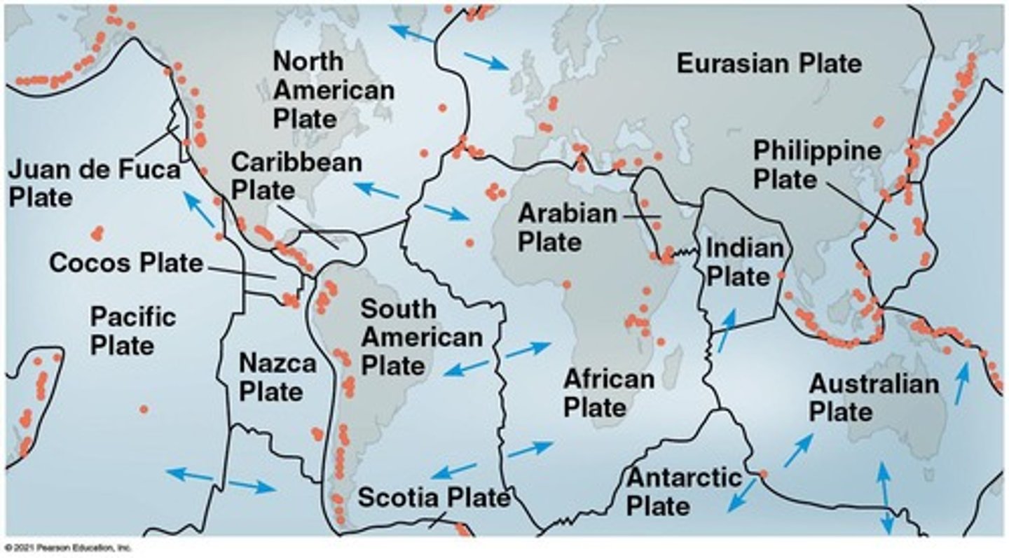 <p>Plate tectonics theorizes that Earth's crust is made of plates that drift, causing continental drift and influencing species distribution and evolution.</p>