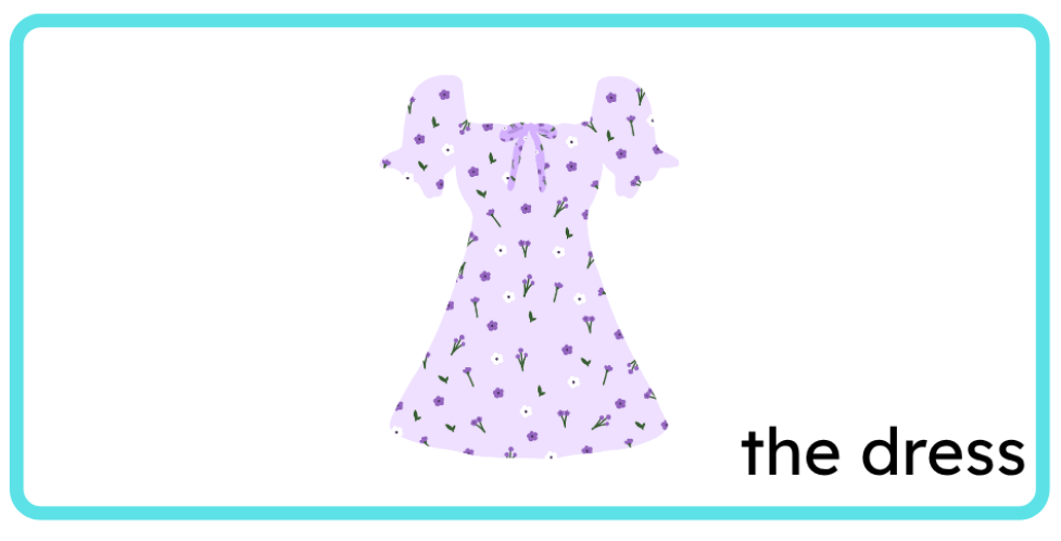 <p>the dress</p>