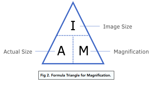 <p>Magnification=image size/actuall size </p>