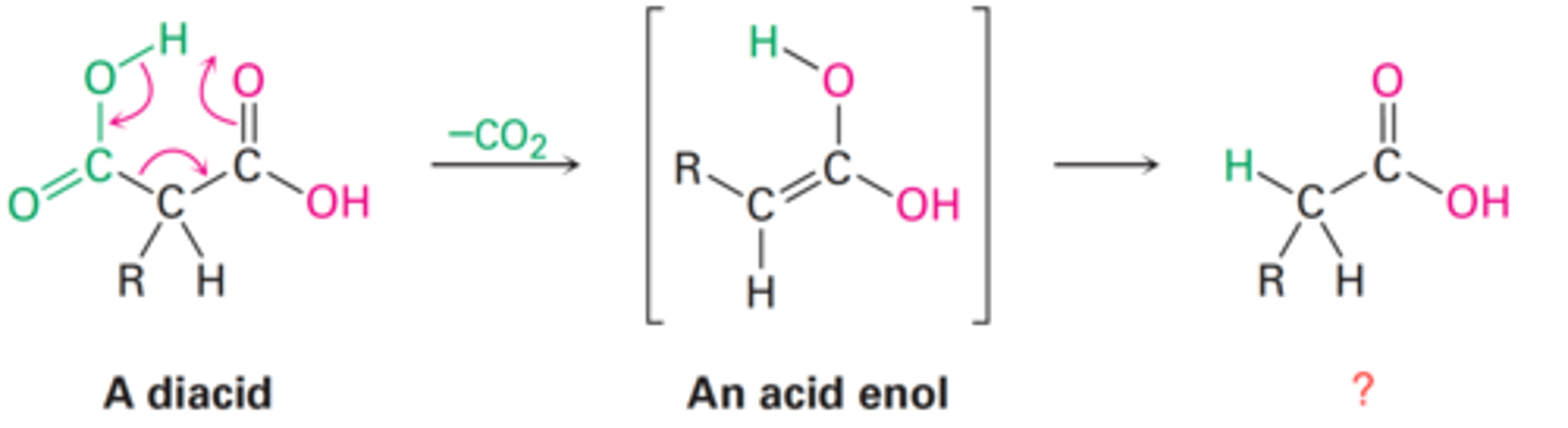 <p>What is the final product of a diacid following decarboxylation?</p>