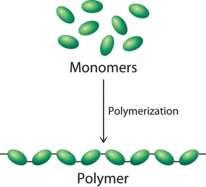 <p>A material such as DNA that is made of very large molecules that are composed of many smaller repeating subunits</p>