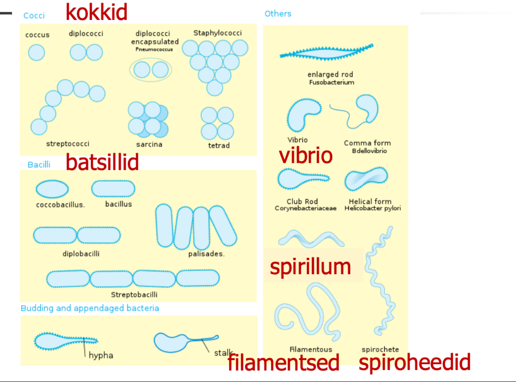 knowt flashcard image