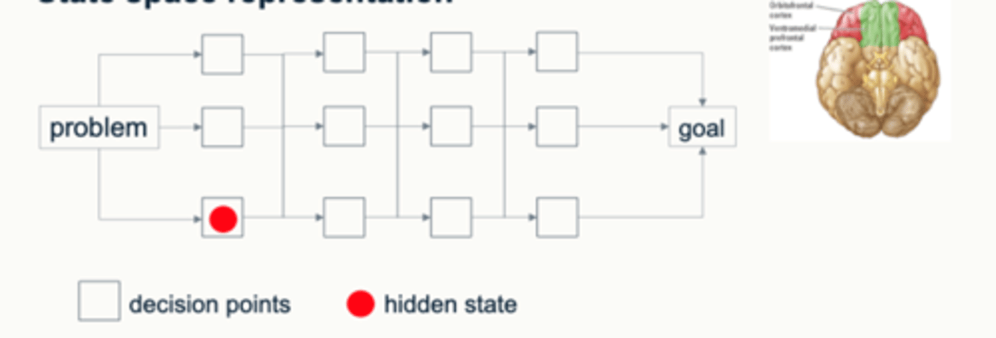 <p>a cognitive map of a problem you want to solve in a grid like neural representation. complex problems that involve making many different decisions - overall goal broken down into sub steps to achieve goal/make decisions. </p><p>- task specific adapted to goal. </p>