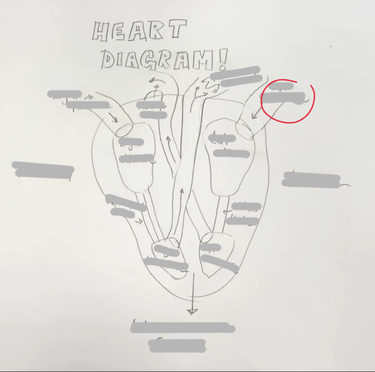 <p>What Structure is this? </p>