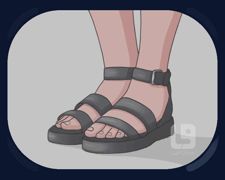 <p class="tw-m-0 tw-text-justify tw-w-full tw-text-sub-title tw-font-text-medium tw-text-base sm:tw-text-lg  ">an open shoe that fastens the sole to one's foot with straps, particularly worn when the weather is warm</p>