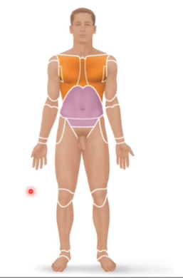 <p>everything is pointing forward (head, eyes, palms, feet, toes)</p><p>used to describe most parts of the body in knes</p>