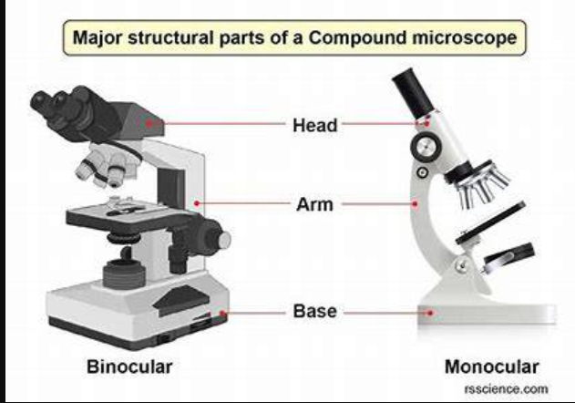 <p>It connects the top with the base and that’s where you hold it to move microscope</p>