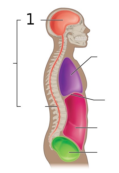 <p></p>