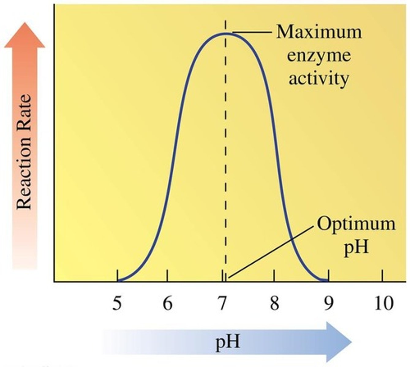 <p>Approximately 7.4.</p>