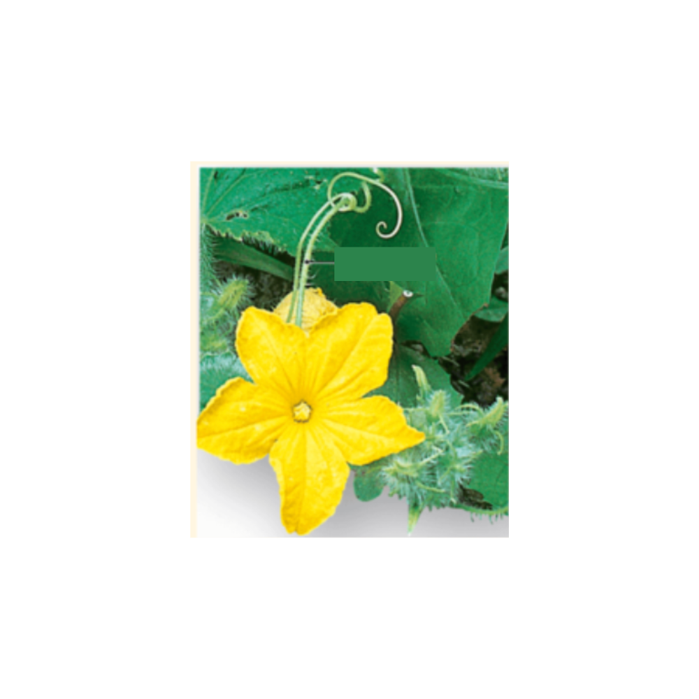 <p>What kind of modification is this?</p>