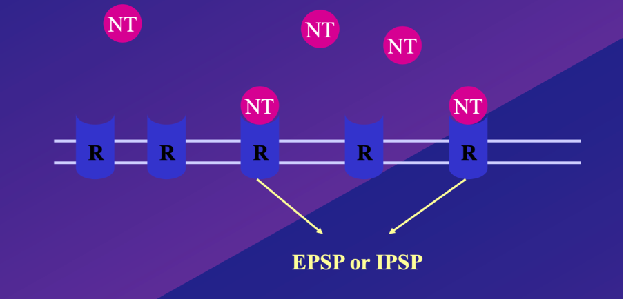 <p>what does each element symbolise in this image/ what does this diagram show</p>