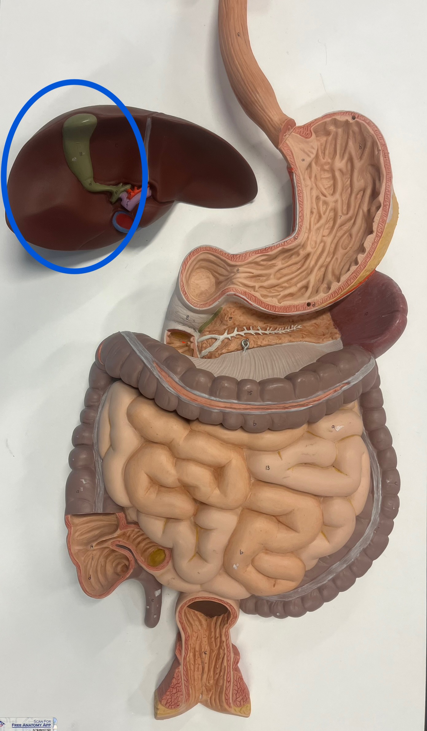 <p>what is this?</p>