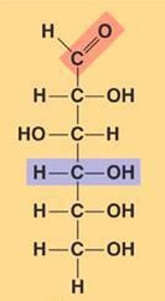 <p>C6H12O6 + 6 O2 → 6 CO2 + 6 H2O + Energy (ATP, heat).</p>