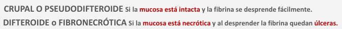 <p>RINITIS FIBRINOSA&nbsp;</p><ul><li><p>placas o membranas de fibrina (amarillo-tostado, sólido y quebradizo)&nbsp;</p></li><li><p>mucosa MUY enrrojecida </p></li><li><p>fibrina: malla filamentosa, reticular, acidófila&nbsp;</p></li></ul><p></p>