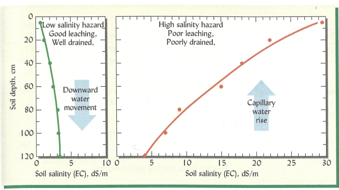 efficacy of leaching<br />