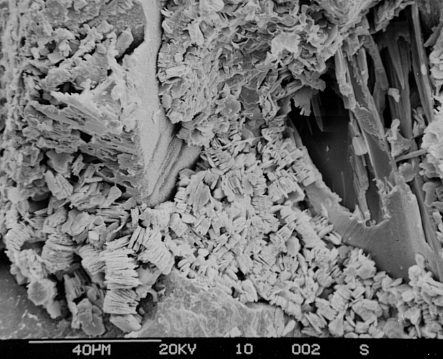 <p>what is this? extra info?</p>