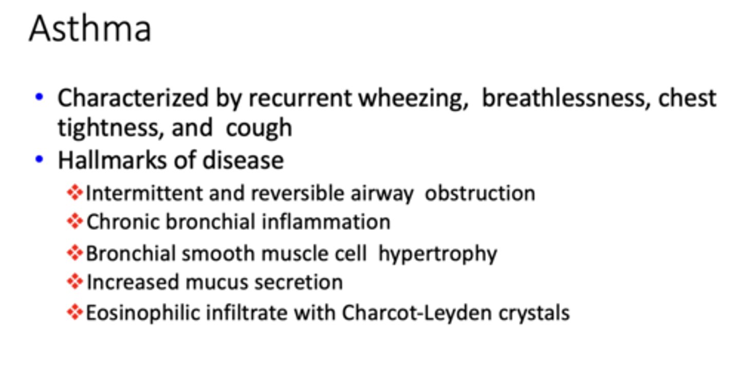 <p>Asthma</p>