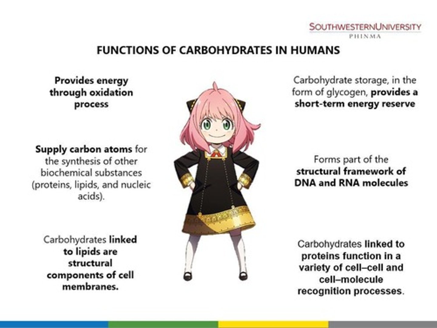 <p>Provide energy, cell signaling, component of some vitamins, synovial fluid, and part of DNA/RNA</p>