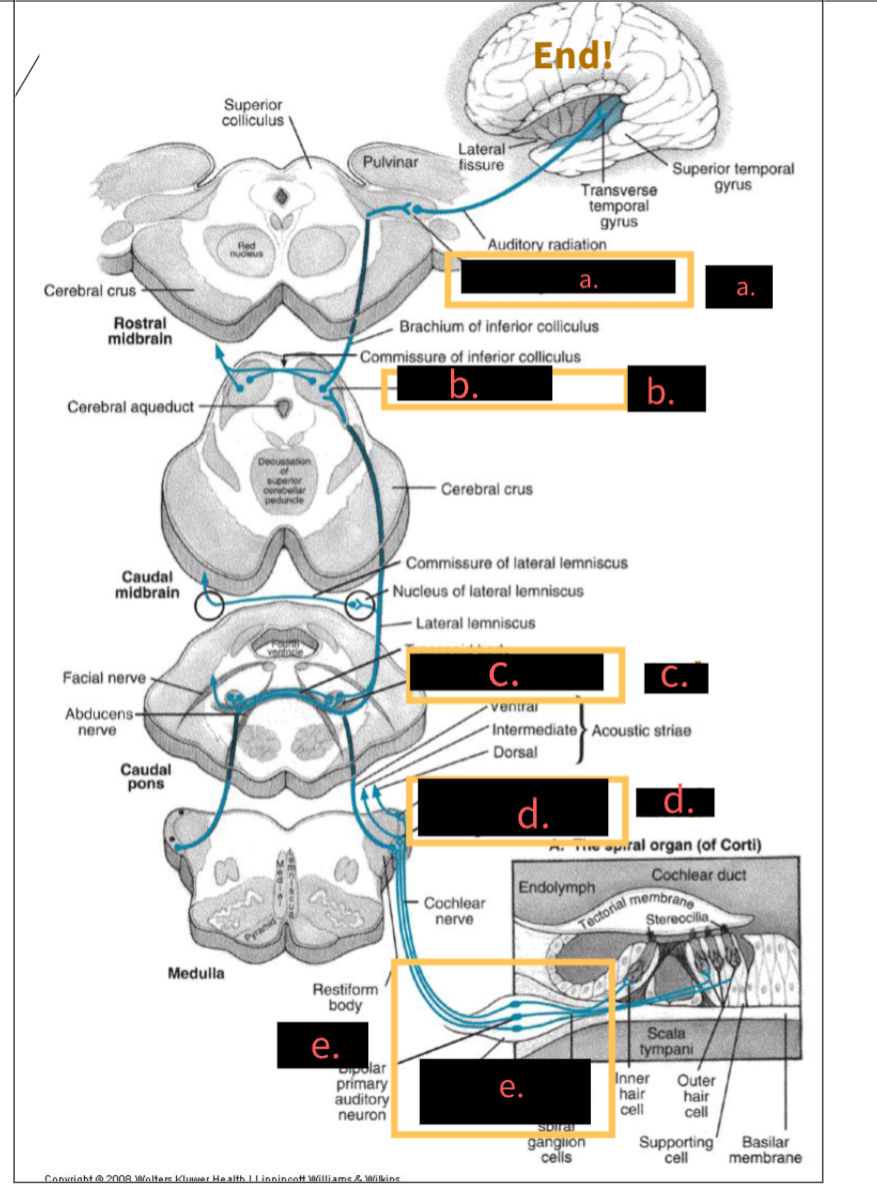 <p>what is this image depicting?</p>