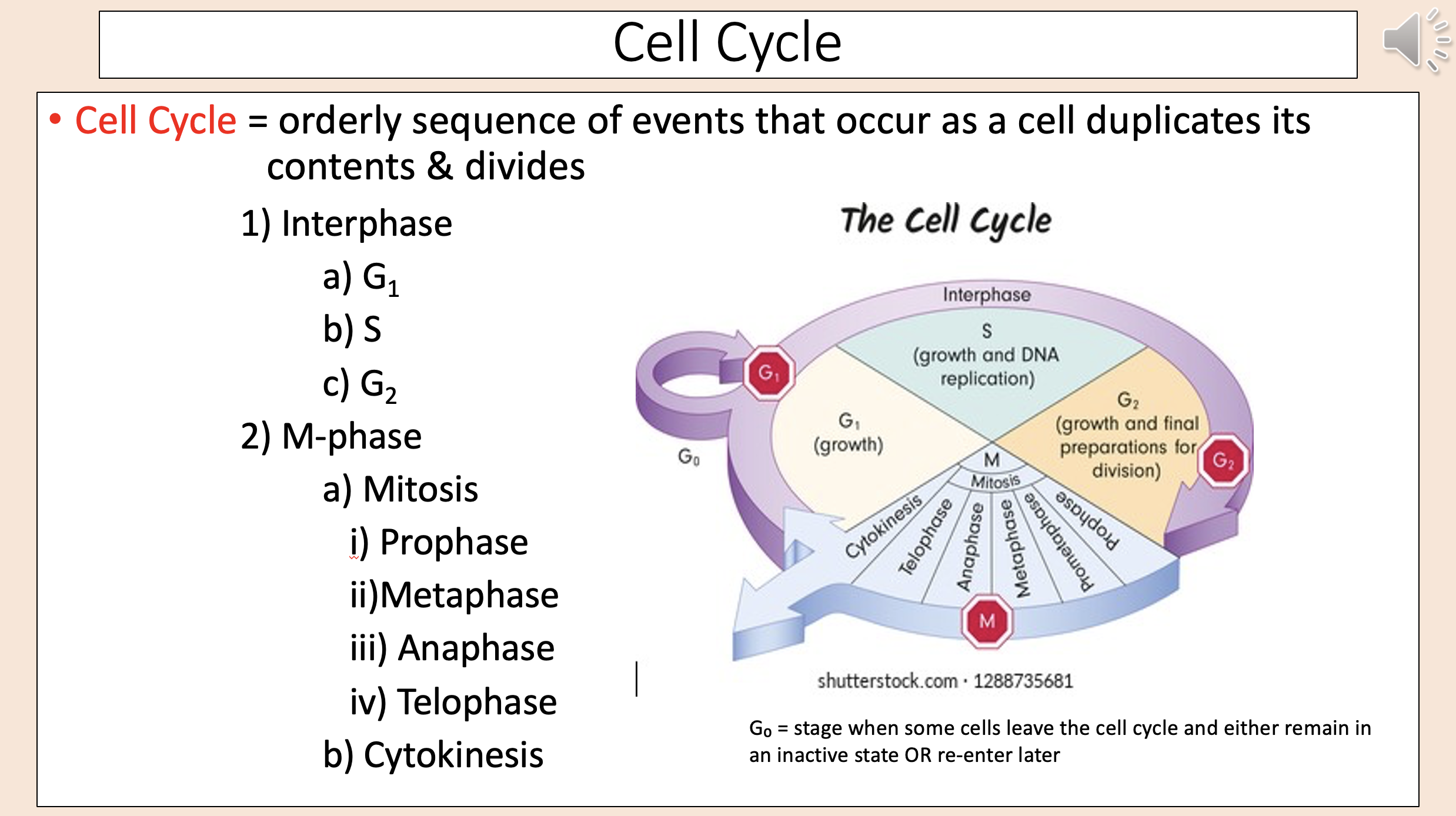 <p><span style="color: rgb(255, 0, 0);">cell cycle</span></p>