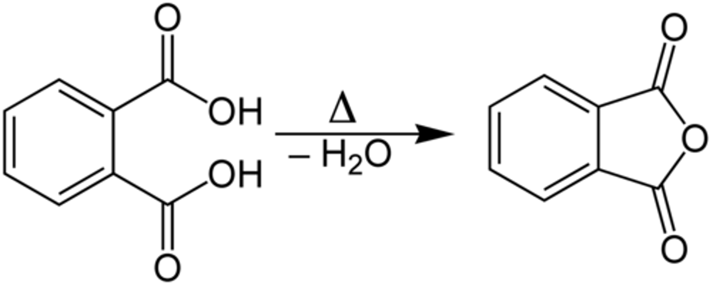 <p>False. A phthalate can undergo an intramolecular Anhydride Formation between its two carboxylic acids.</p>