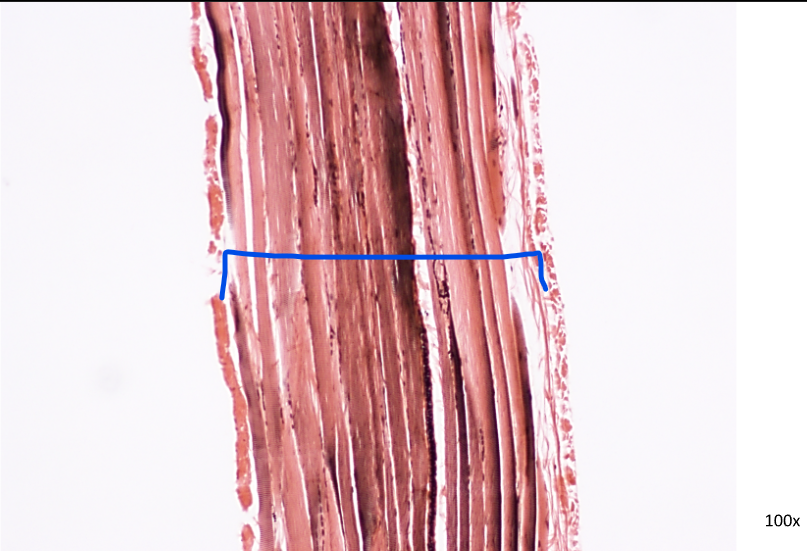 <p>What is this?</p>