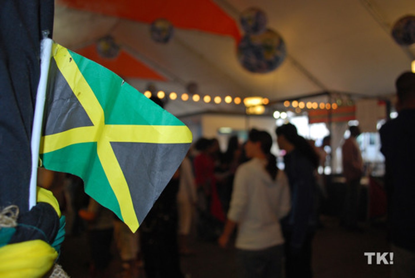 <p>make a plan.</p><p>This year, we _____ to travel to Jamaica.</p>