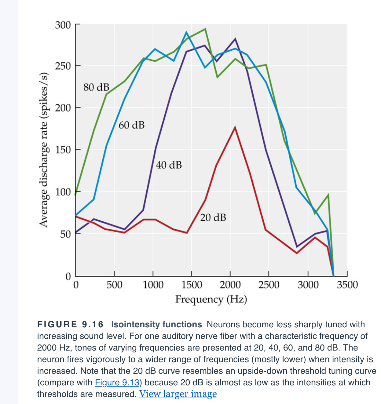 <p><span>A map plotting the firing rate of an auditory nerve fiber against varying frequencies at varying intensities.</span></p>