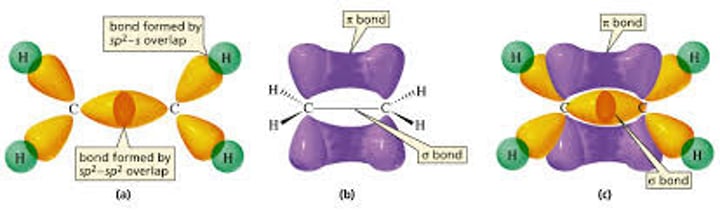 <p>A double bond contains a sigma bond (when the end of two carbon orbitals overlap). The second bond however is a pi bond formed by the sideways overlap of two more orbitals.<br>These double bonds have a very high electron density</p>