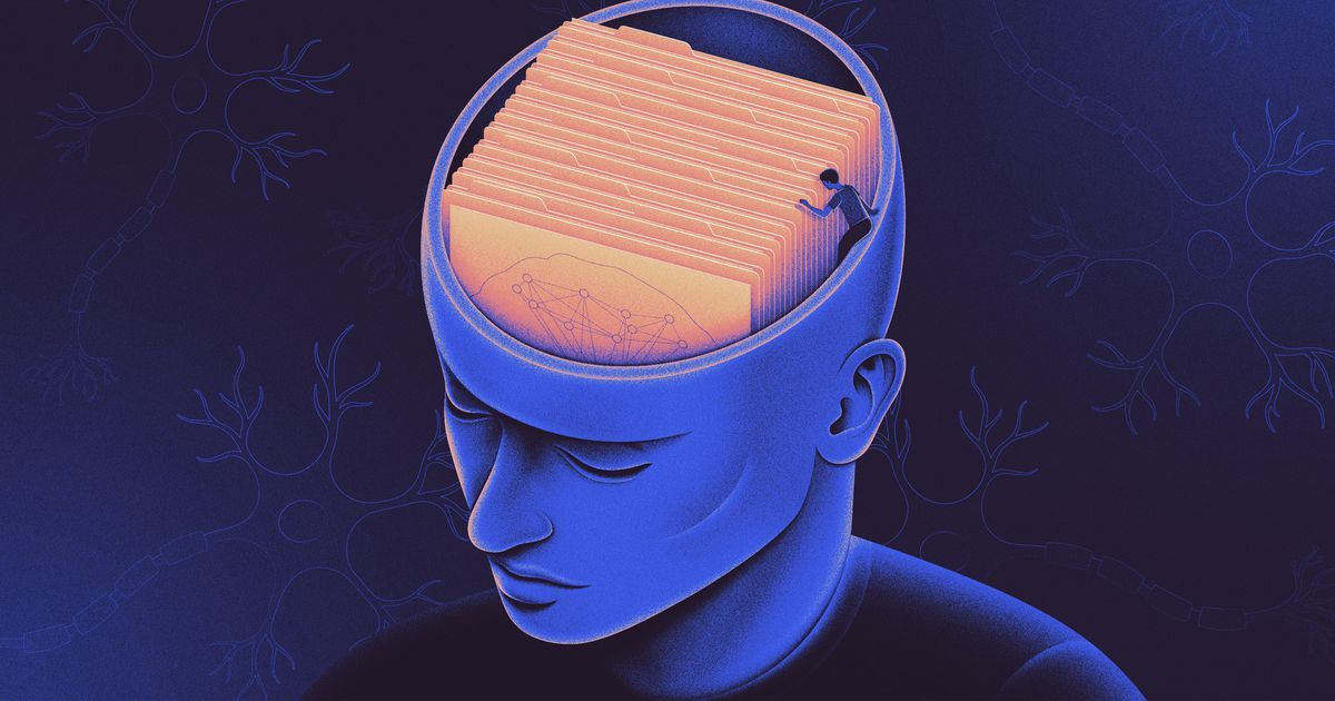 <p>долгосрочная память</p>