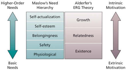 <p>Humans have 5 sets of needs arranged in a hierarchy:</p><ol><li><p>Self – actualization: needs regarding development to their truest potential</p></li><li><p>Self – esteem: needs for feelings of adequacy and confidence</p></li><li><p>Belongingness: needs for social interactions</p></li><li><p>Safety: needs for security and stability</p></li><li><p>Physiological: basic survival needs</p></li></ol>