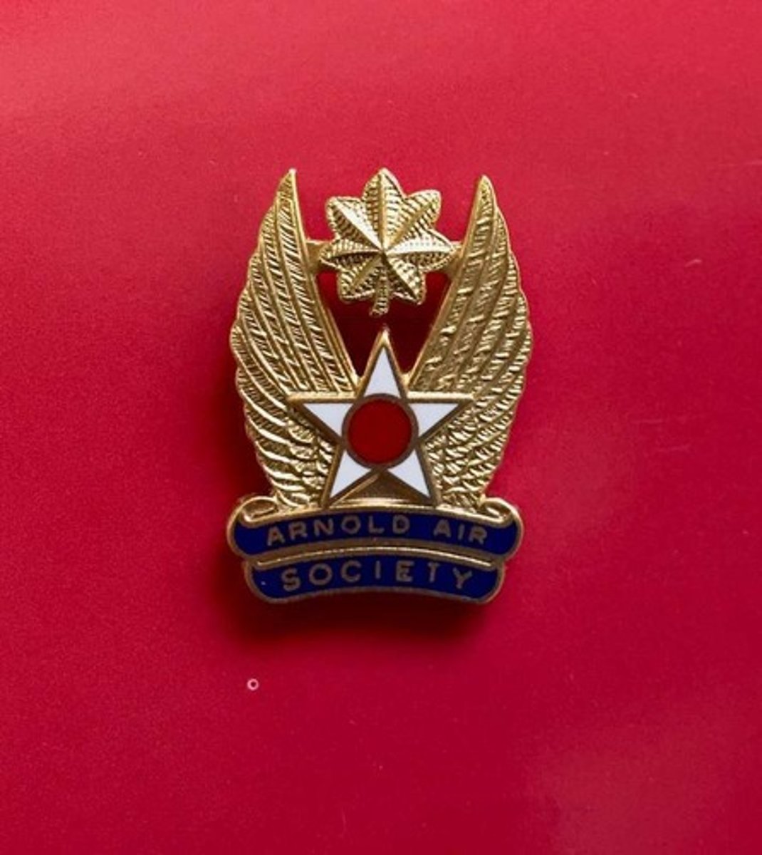 <p>- An AAS badge with the appropriate officers grade insignia</p><p>placed between the wings above the star</p>