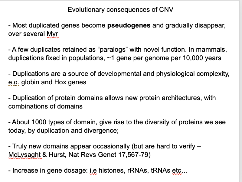 <ul><li><p>Homologous genes formed by duplication in the<strong> same species</strong>&nbsp;are<strong> PARALOGOUS GENES</strong></p></li></ul><p>Have two (or three?) fates:</p><ol><li><p>Redundancy of function→ allows one to mutate to non-functional (pseudogenes) over several Myr</p></li><li><p>New/ more specialised functions→ increase developmental and physiological complexity→<strong> multigene families</strong></p></li><li><p>Increased gene dosage→ e.g rRNA, histones</p></li><li><p>Duplications are a source of developmental and physiological complexity</p><ul><li><p>e.g gobin and Hox genes</p></li></ul></li><li><p>Duplication of protein domains→ new protein architectures with combinations of domains</p></li><li><p>Truly new domains appear occasionally (but hard to verify)</p></li></ol><p></p>