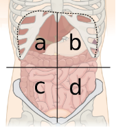 <p>Quadrant A</p>
