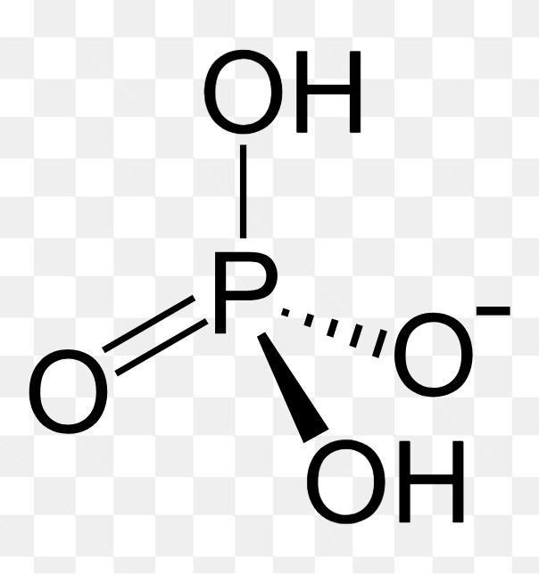 <p>H<sub>2</sub>PO<sub>4- </sub>dominates</p>