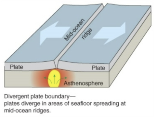 <p>Divergent plate boundaries</p>