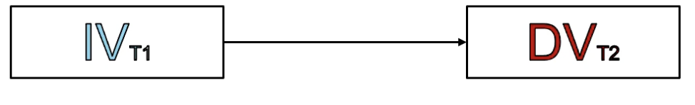 <p>Examine the relationship between the IV at time 1 and the DV at time 2</p><ul><li><p>Cannot determine/measure temporal precedence alone</p></li></ul>