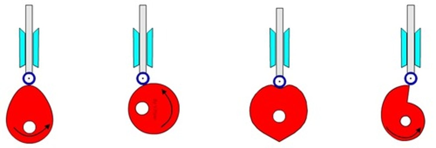 <p>-eccentric circles</p><p>-pear shaped</p><p>-snail shaped</p><p>(used to give different amounts of time spent rising dwelling or falling)</p>