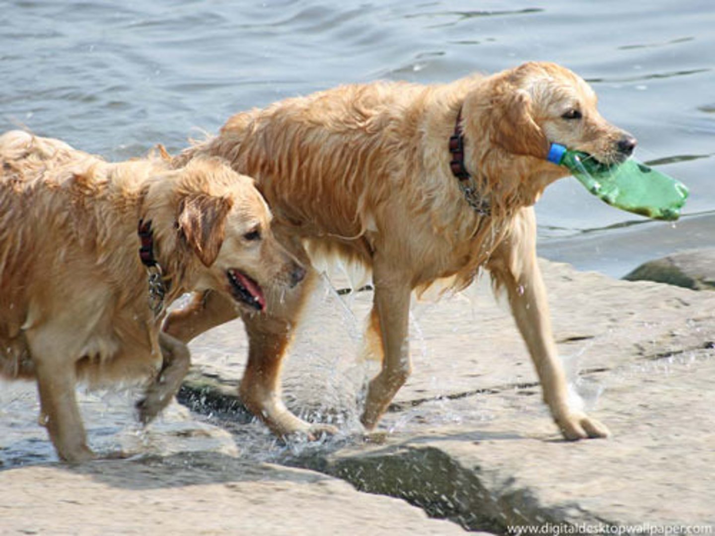 <p>bị ướt</p><p><span style="color: rgb(248, 13, 13);"><strong>ướt mưa</strong></span></p>