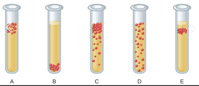 <p>which is aerotolerant anaerobe</p>