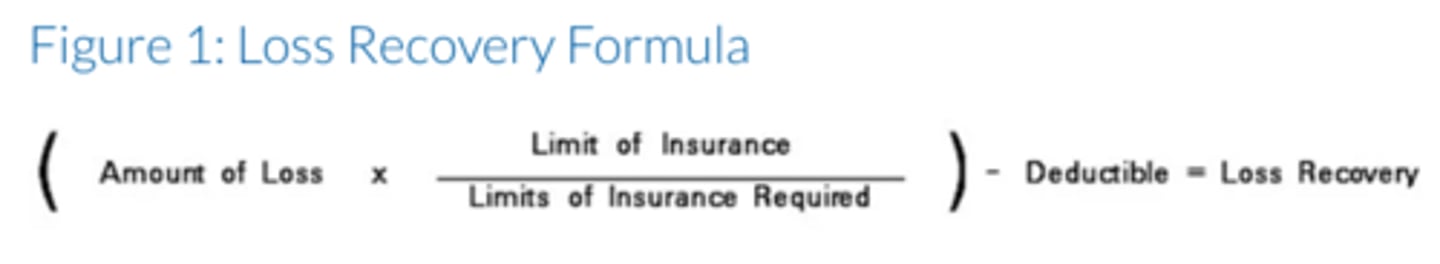 <p>The amount, generally expressed as a fixed percentage, an insured must pay against a claim after the deductible is satisfied. It's ultimately a way for the insured and insurer to share responsibility for the risk. It can also help reduce the cost of the insurance policy premium. Coinsurance can be written on an 80/20, 90/100, or 100% rule.</p>