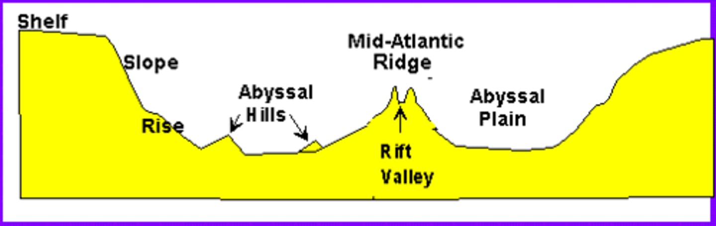 <p>a chain of VOLCANOES on the ocean floor at a divergent boundary.</p>