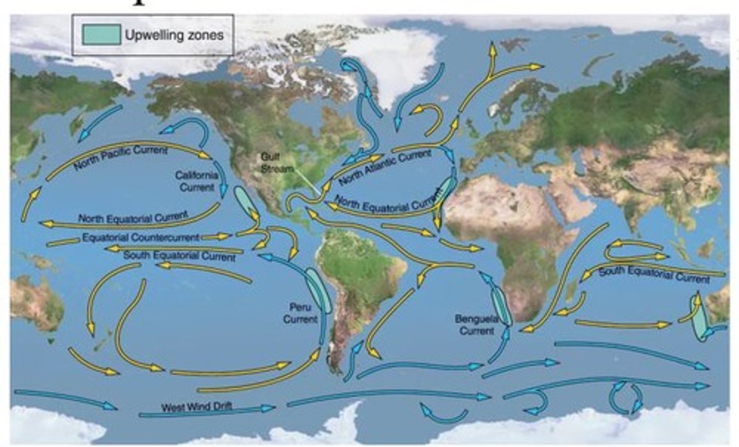 <p>Near-coast waters are often higher due to runoff flowing to rivers and estuaries.</p>