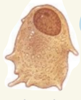 <p>Step 4</p>