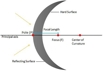 <p>Diverging mirror, rays are reflected outwards, appears to be spreading out from point, principall focus, behind the mirror</p><ul><li><p>Curves outward</p></li></ul><p></p>