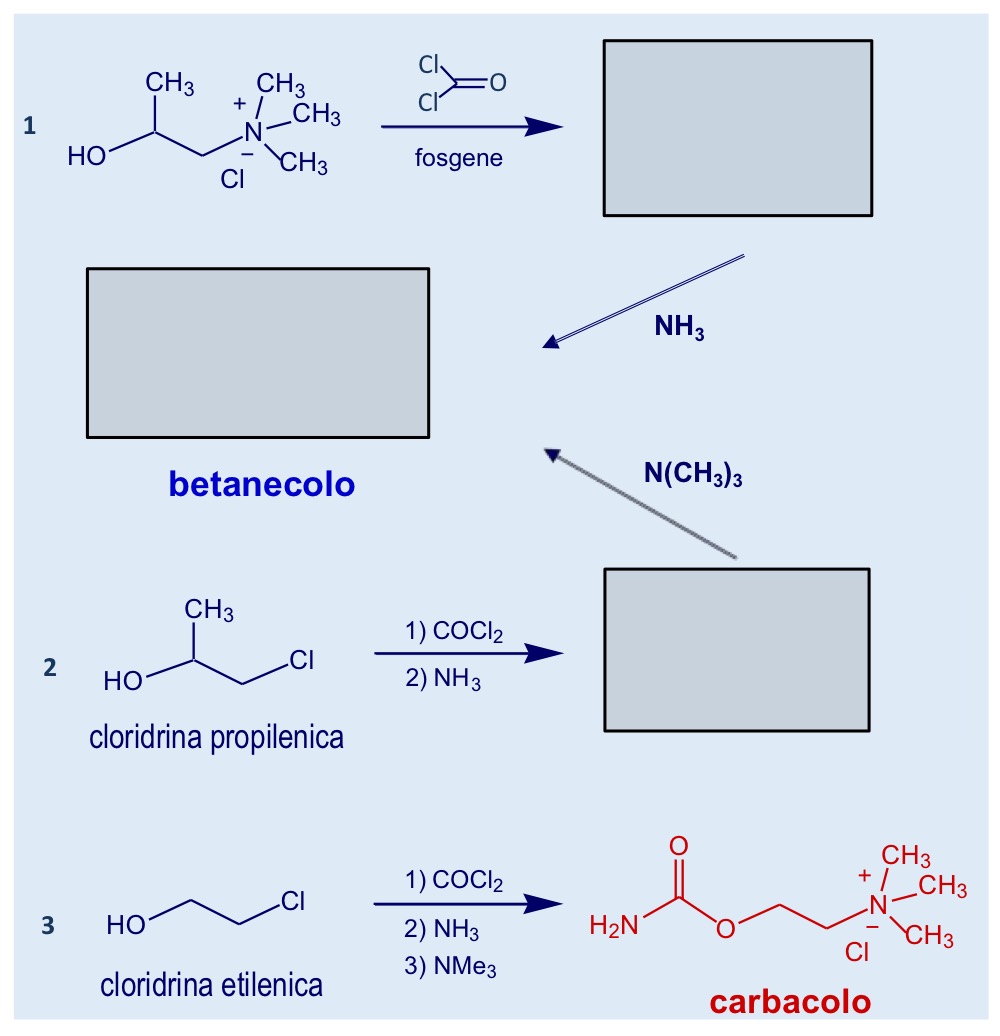 <p>Sintesi betanecolo e risoluzione del racemo</p>